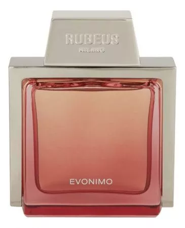 RUGV50EVO
