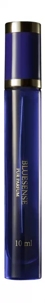B1003